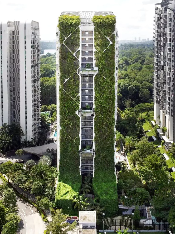 طراحی ساختمان با نمای سبز