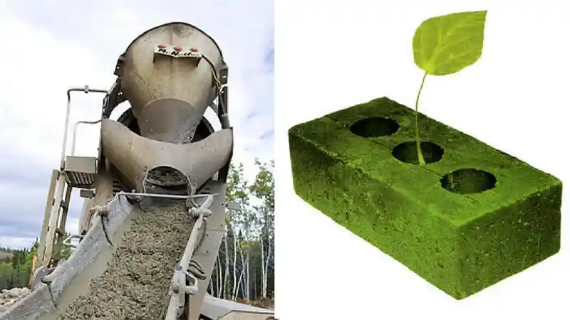 مصالح ساختمانی در ساختمان سبز