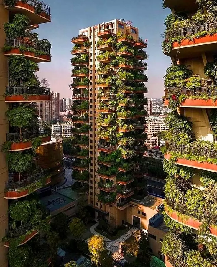 سبزینهکاری در معماری سبز